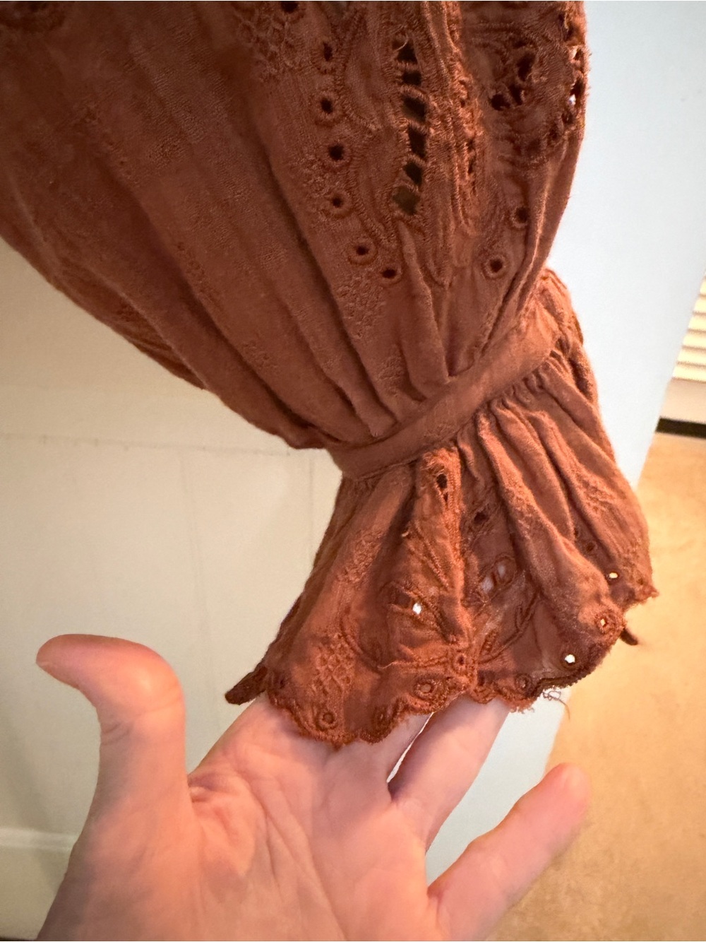 Anthropologie Pilcro Rust Brown Eyelet Peasant Blouse Size XL Boho, Cottagecore - Picture 3 of 16
